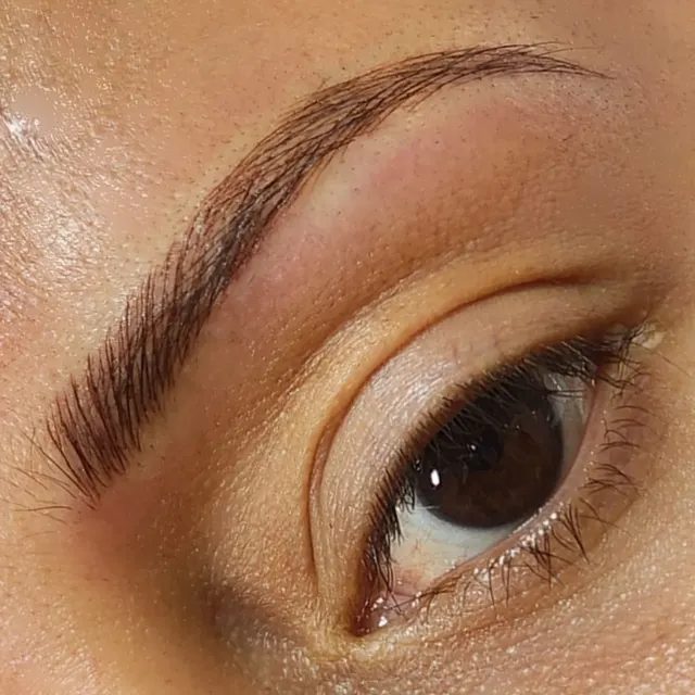 iBrow Vixen transformation result